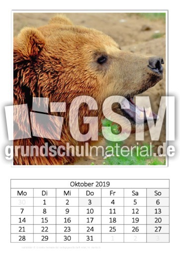 Oktober_Kodiakbär.pdf